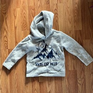 GAP Gray Kids Soft Hoodie with Yeti or Not